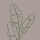 A plant icon for the care guide of the navigation bar.