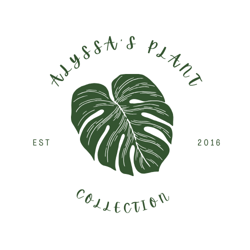 Alyssa's Plant Collection logo.