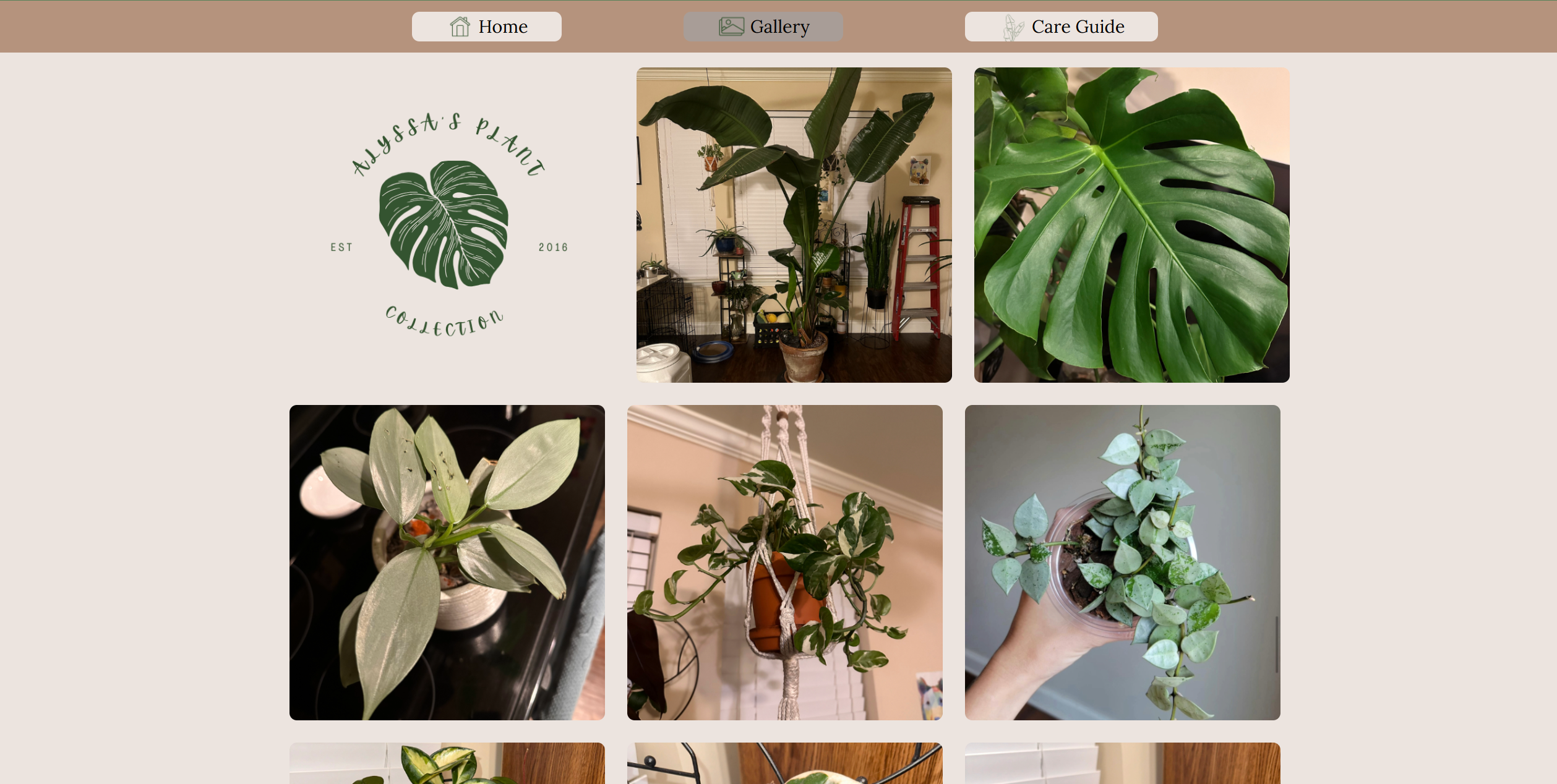A screenshot of a brochure site for Alyssa's Plant Collection.
