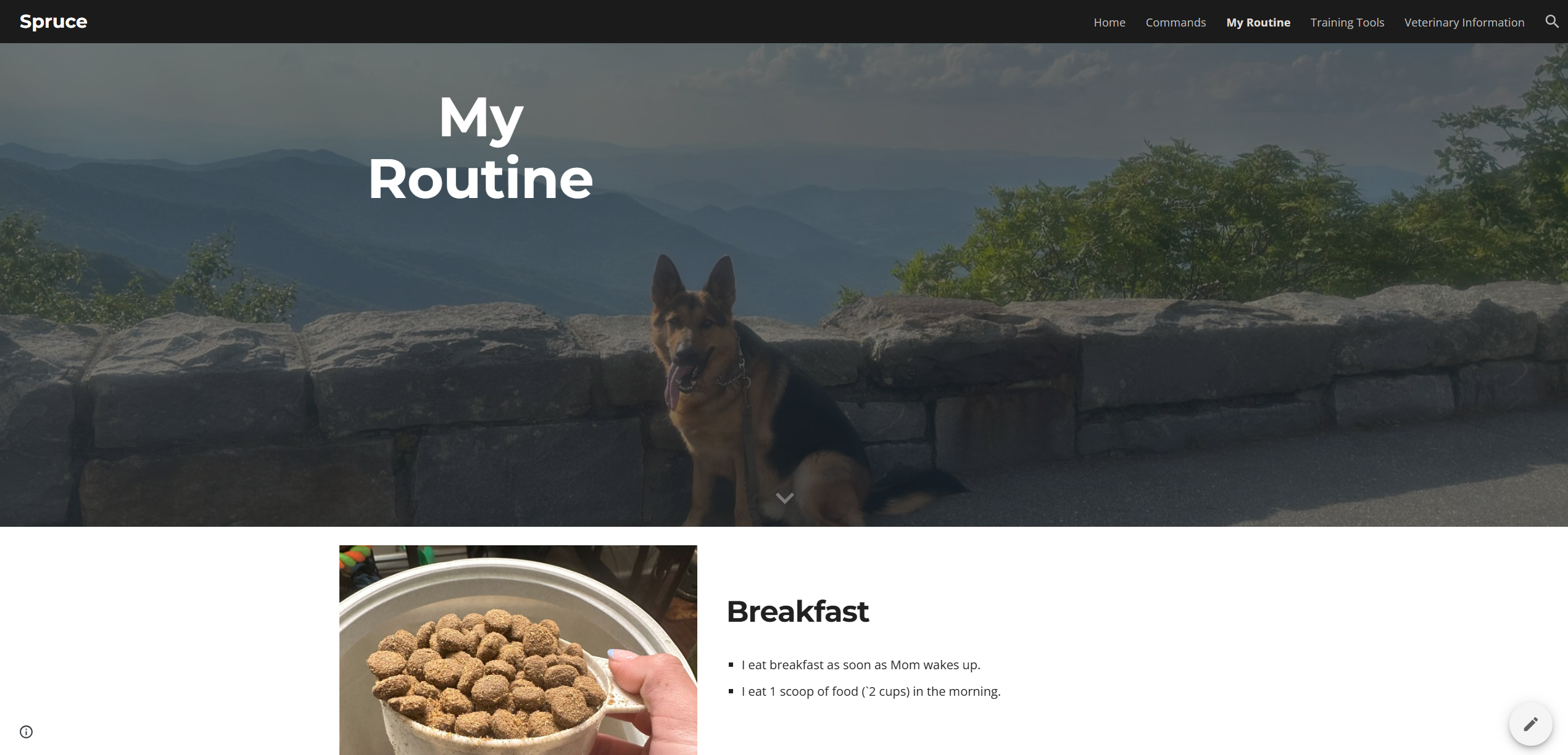 A screenshot of a brochure site to hang out with Spruce.